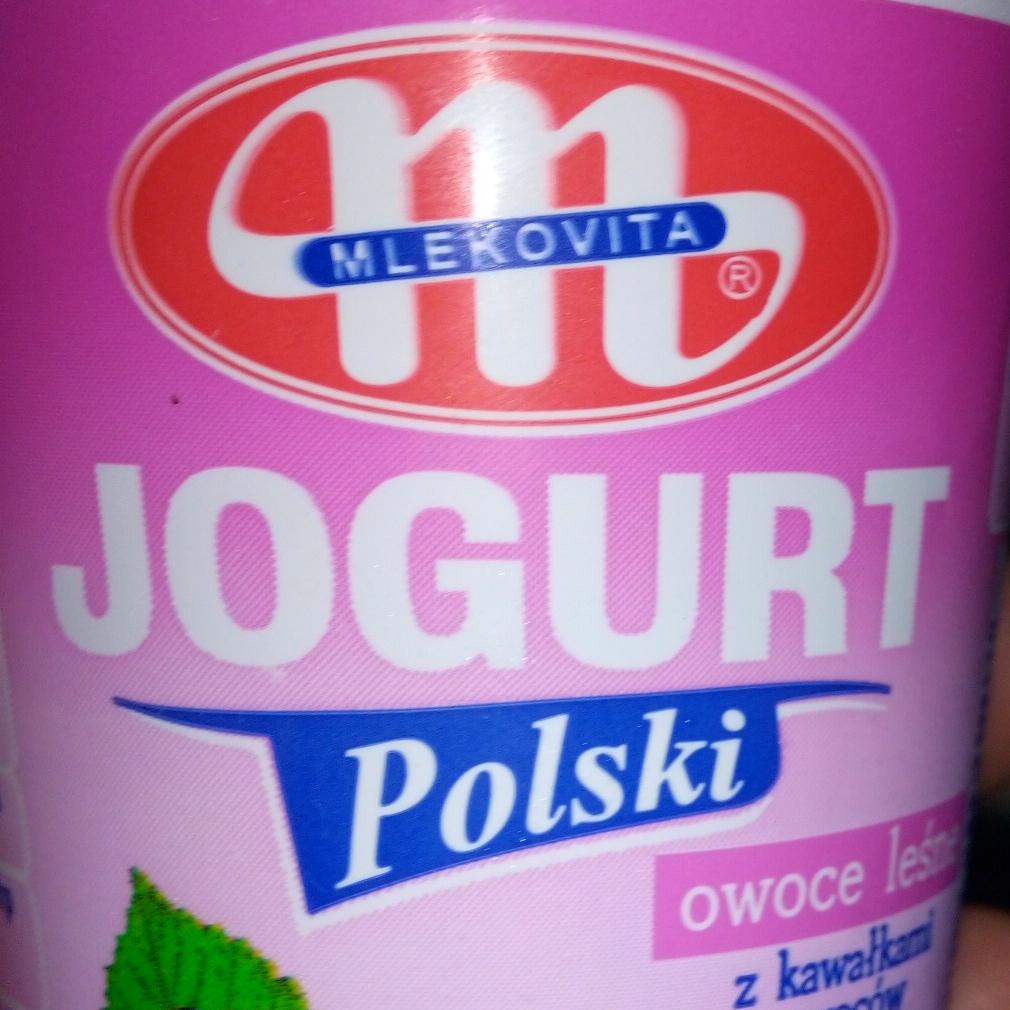 Fotografie - Jogurt Polski owoce leśne Mlekovita
