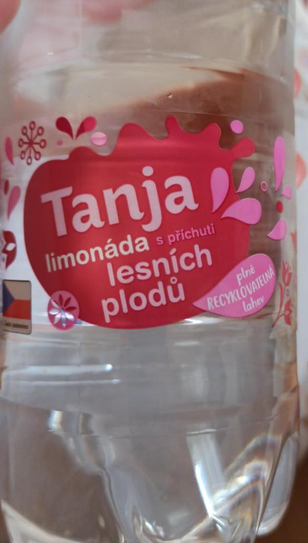 Fotografie - Limonáda s příchutí lesních plodů Tanja