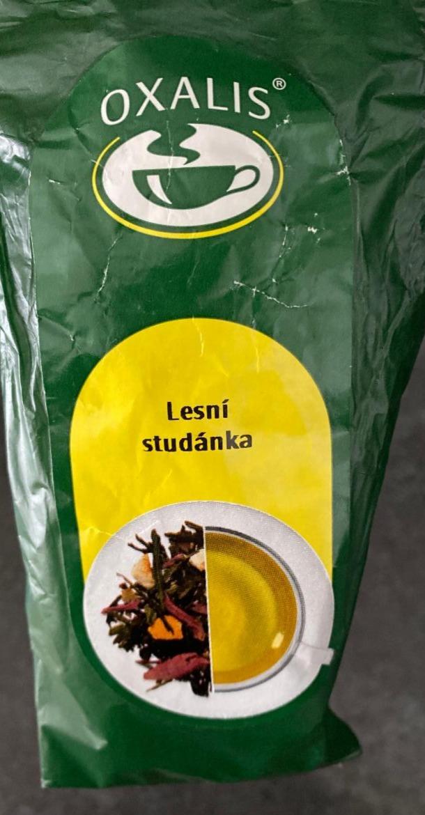 Fotografie - Sypaný zelený čaj aromatizovaný, ochucený Lesní studánka