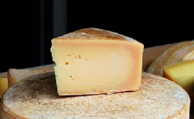 Fotografie - sýr gouda 40% tuku
