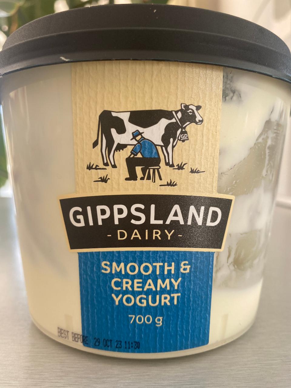 Fotografie - Dairy Smooth & creamy Yogurt Gippsland