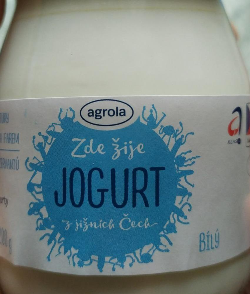 Fotografie - jogurt bílý agrola