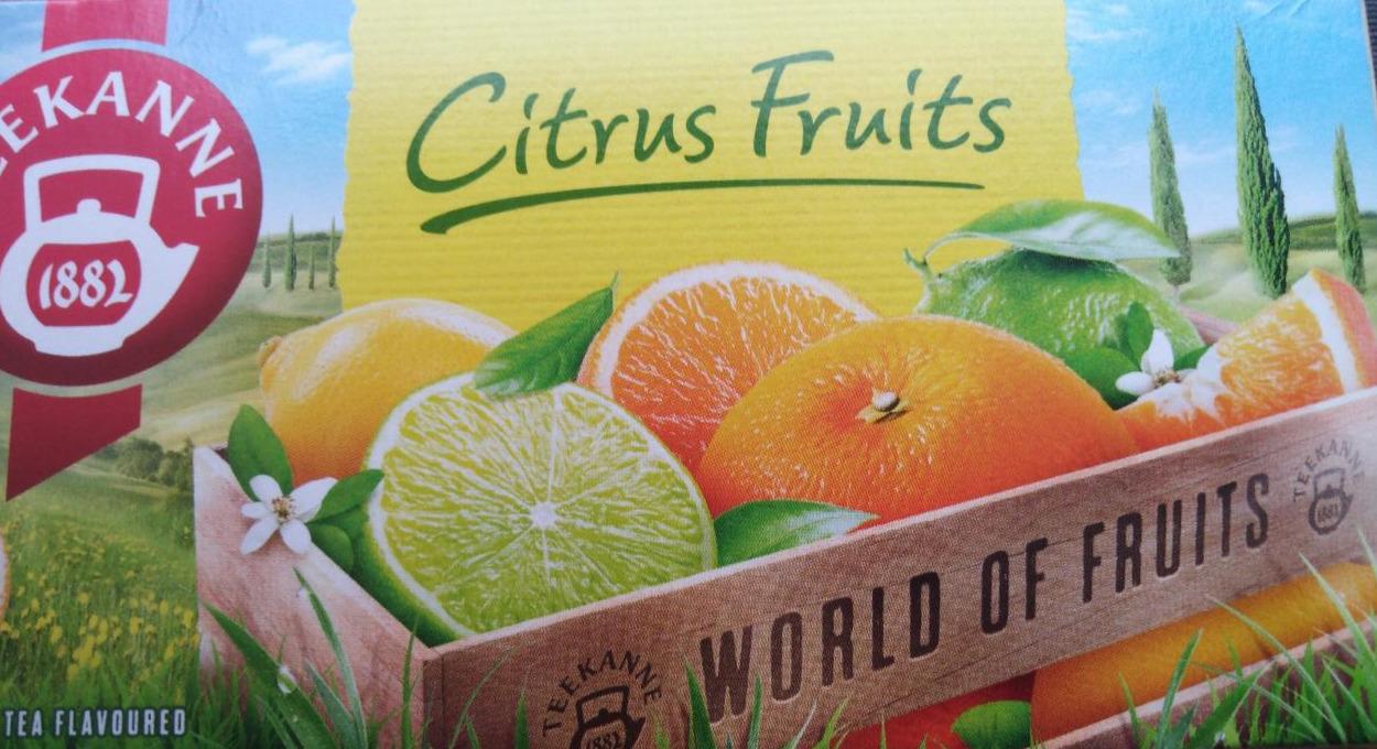 Fotografie - Citrus Fruits ovocno bylinný čaj Teekane