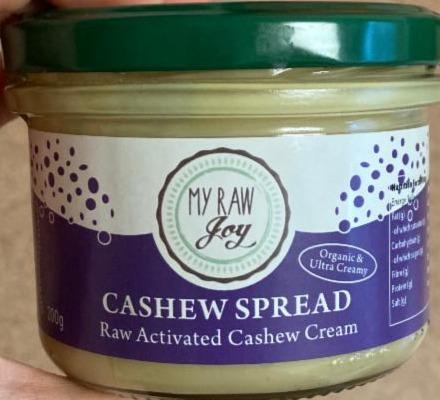 Fotografie - Cashew spread My Raw Joy