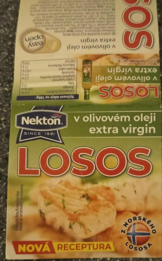 Fotografie - losos v olivovém oleji extra virgin Nekton