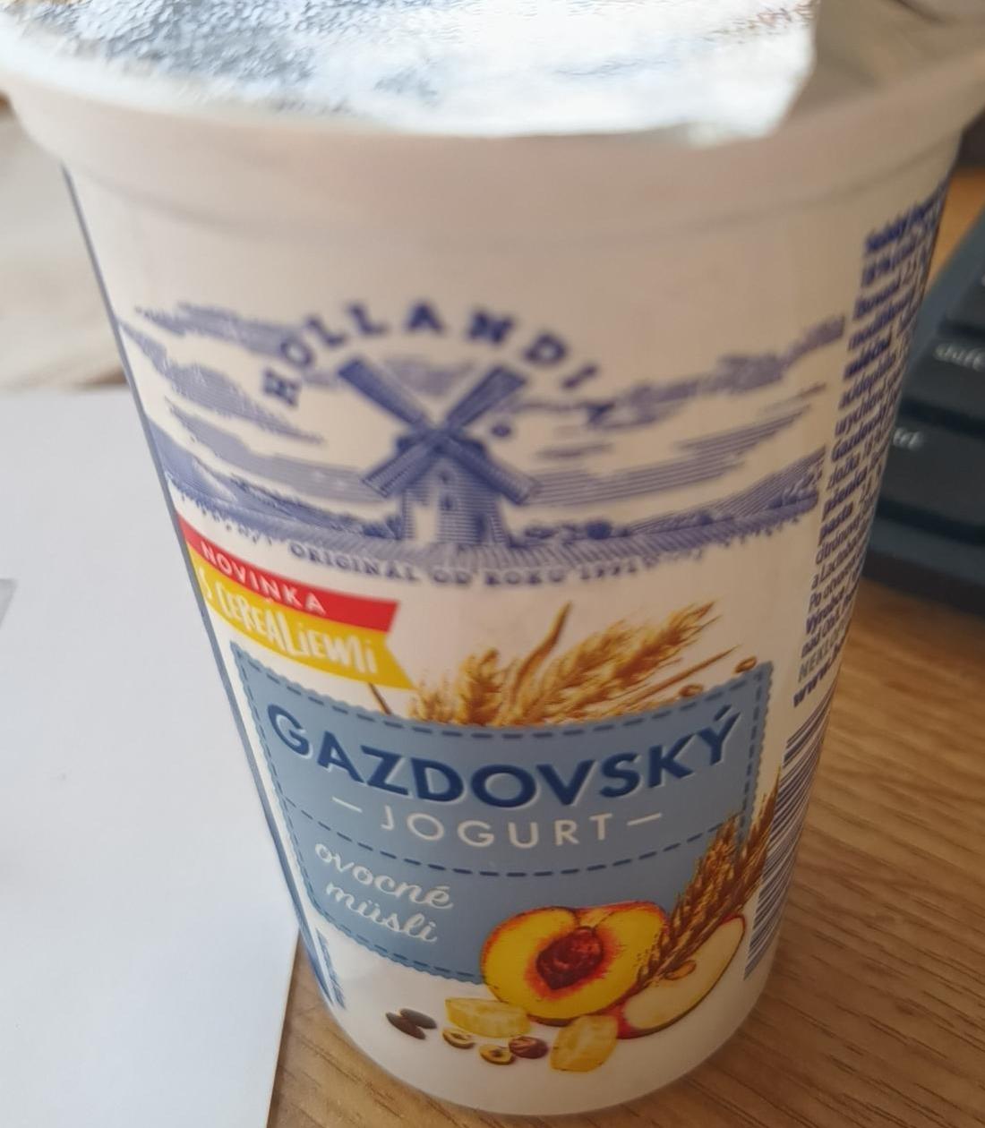 Fotografie - Gazdovský jogurt ovocné müsli Hollandia