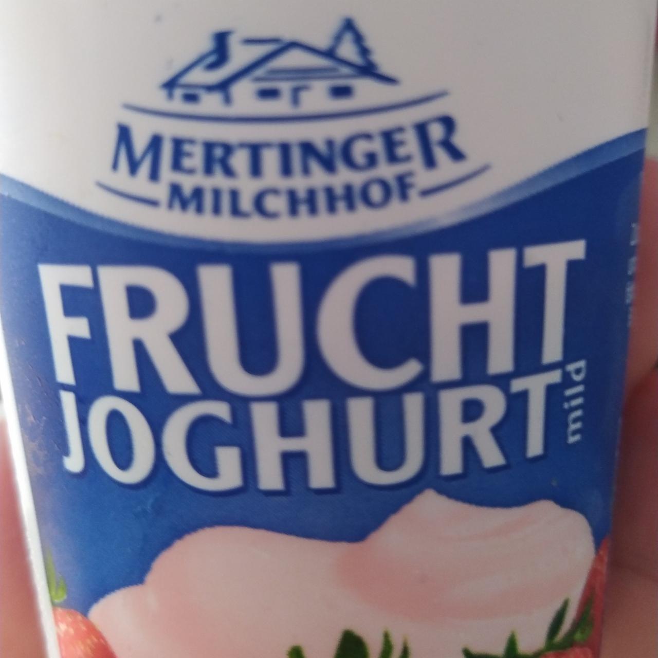Fotografie - frucht joghurt Mertinger Milchhof
