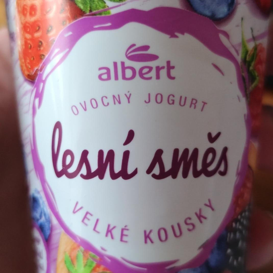 Fotografie - Ovocný jogurt lesní směs Albert