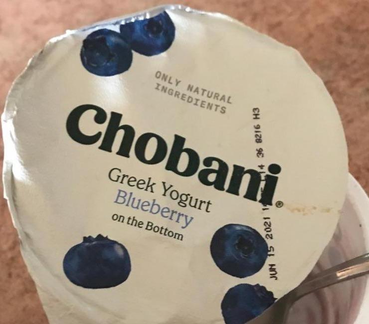 Fotografie - Chobani Blueberry Yoghurt