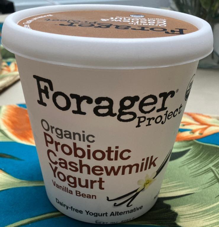 Fotografie - Organic Probiotic Cashewmilk Yogurt Vanilla Bean Forager Project