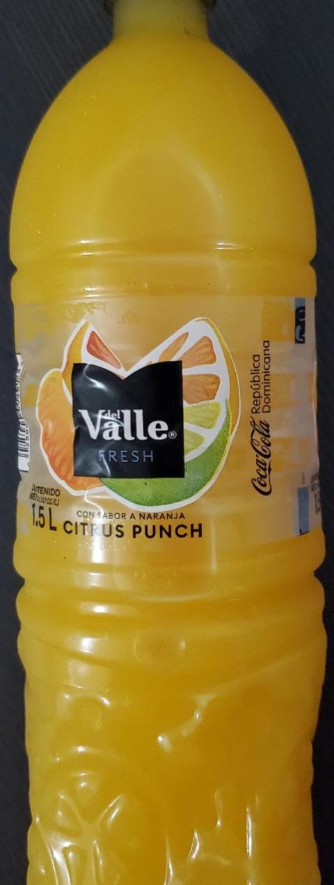 Fotografie - Fresh Citrus Punch Del Valle