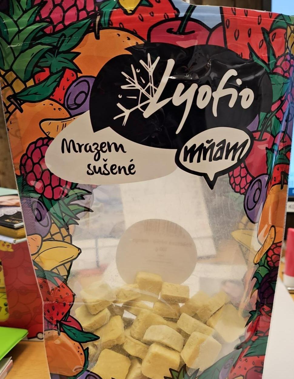 Fotografie - Kokosové mléko - mango, mrazem sušené Lyofio