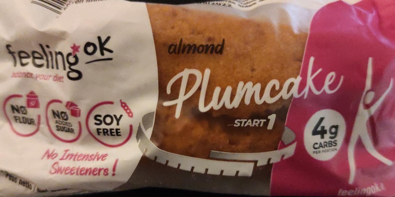 Fotografie - Almond Plumcake Feeling OK