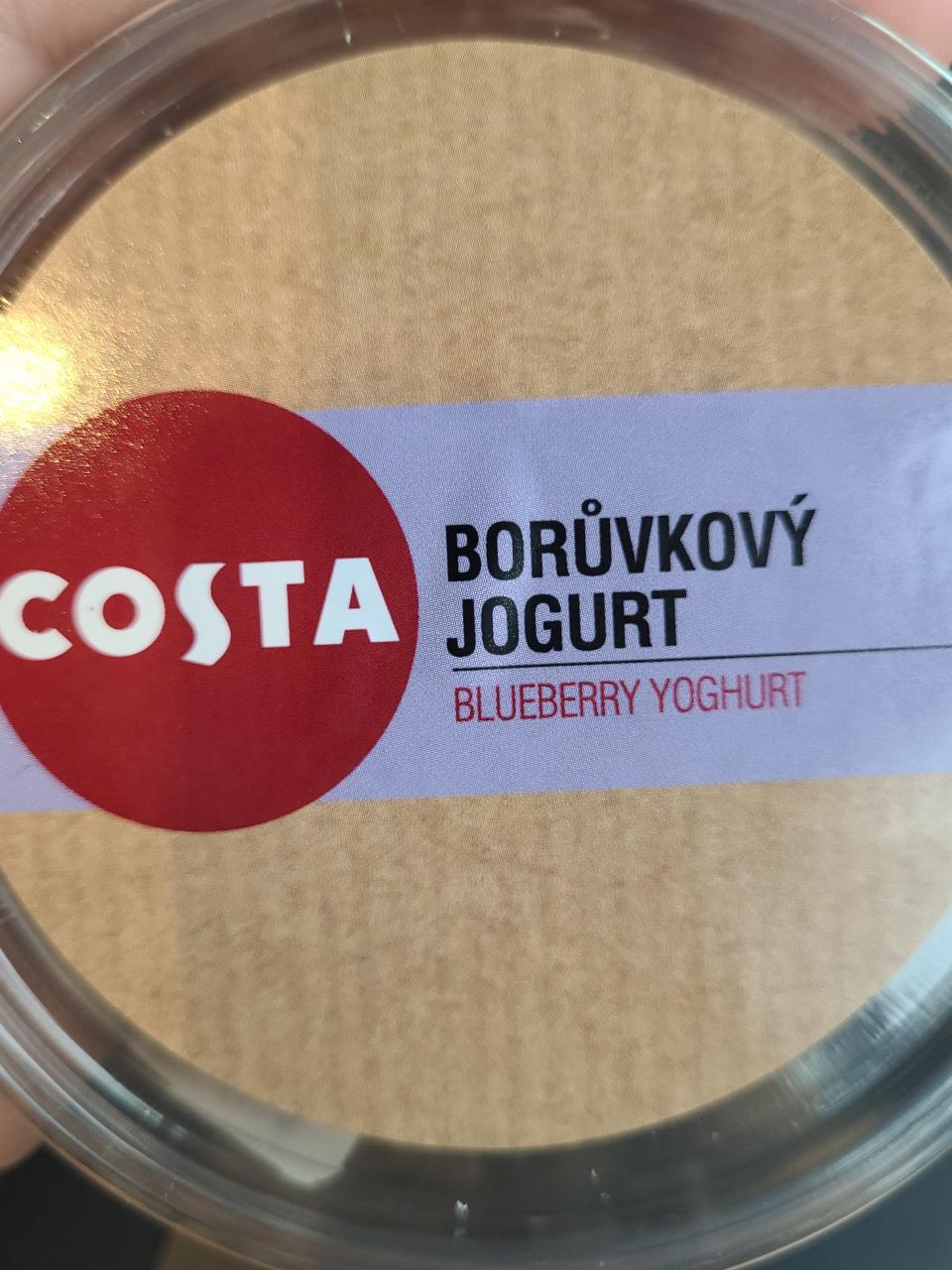 Fotografie - Borůvkový jogurt Costa