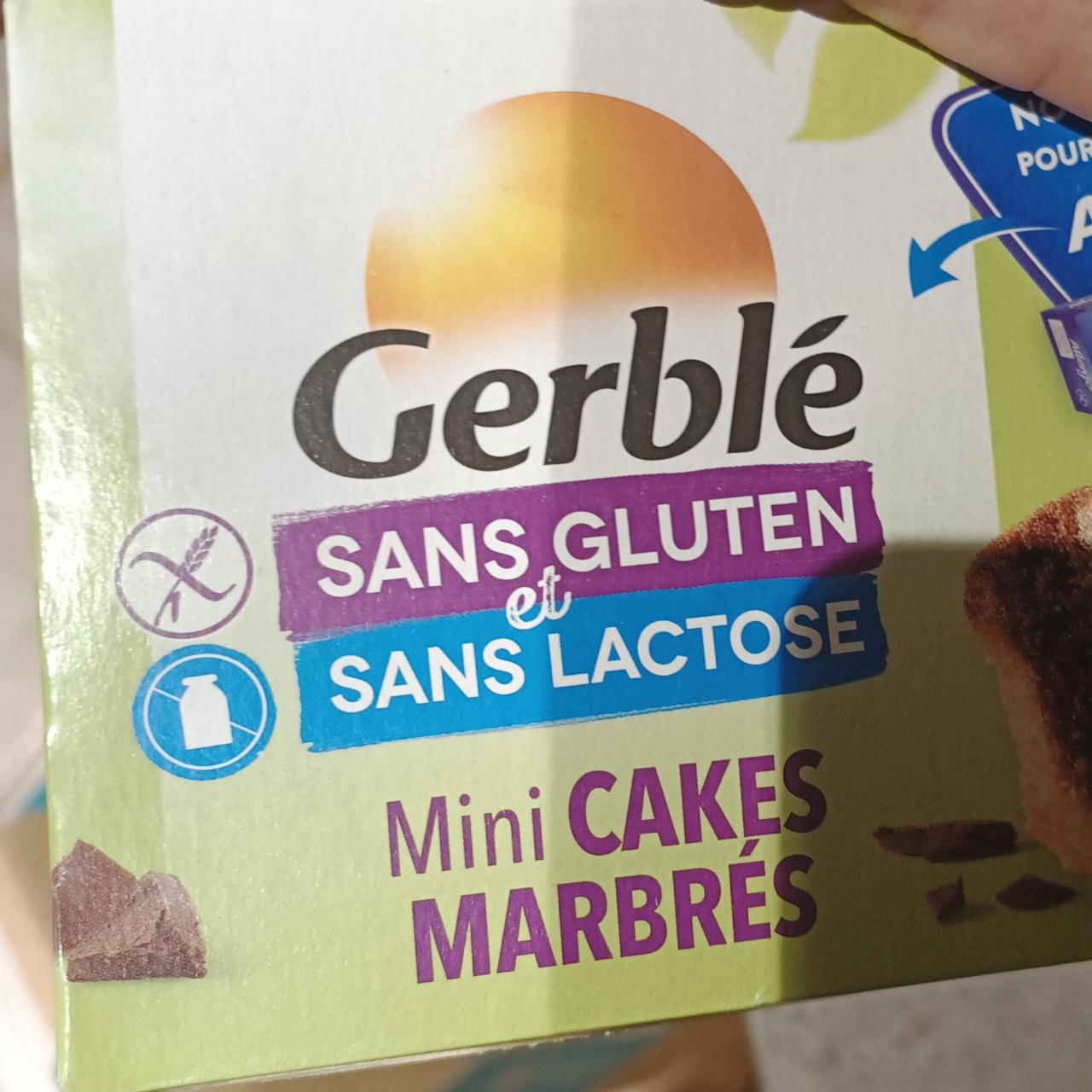 Fotografie - Mini cakes marbrés Sans gluten et Sans lactose Gerblé