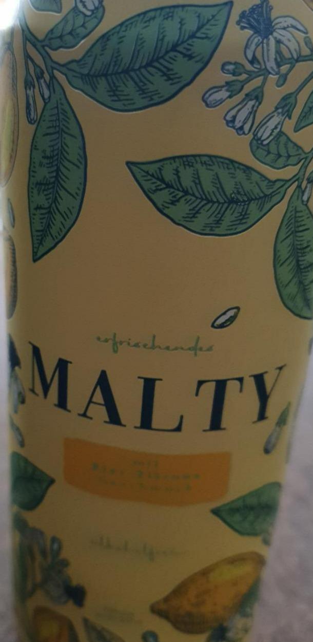 Fotografie - ovocné pivo malty
