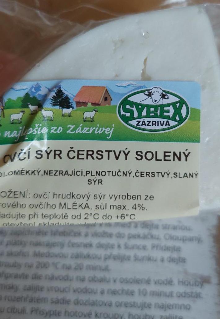 Fotografie - Ovčí sýr čerstvý solený - Syrex