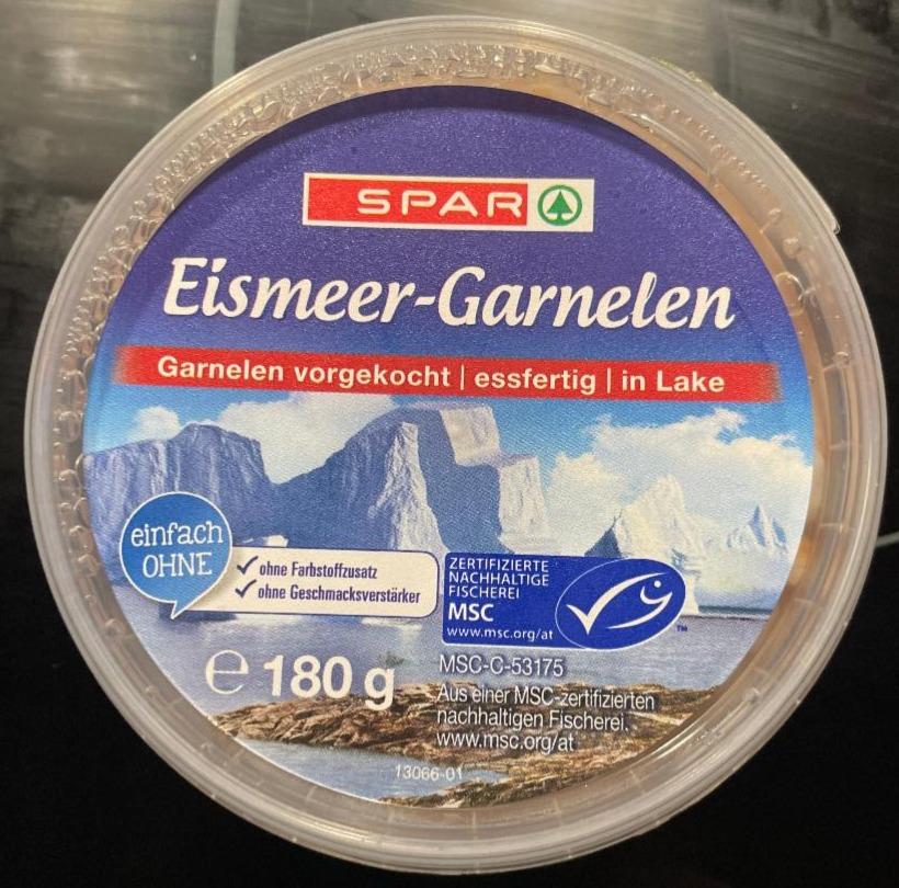 Fotografie - Eismeer-Garnelen Spar