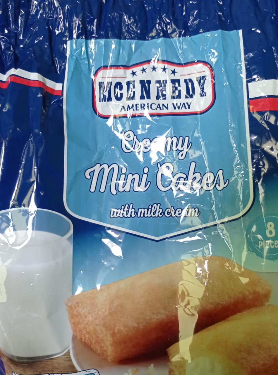 Fotografie - Creamy Mini Cakes with milk cream McEnnedy American Way