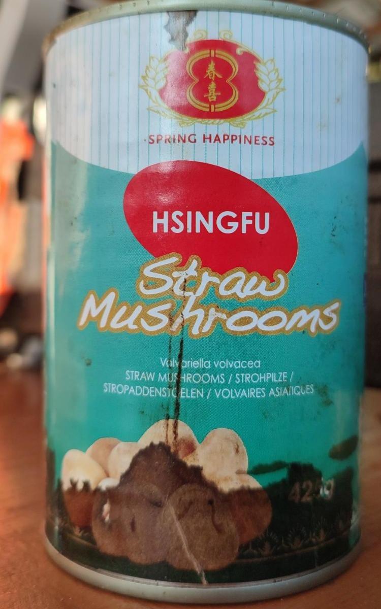 Fotografie - Straw Mushrooms Spring Happiness