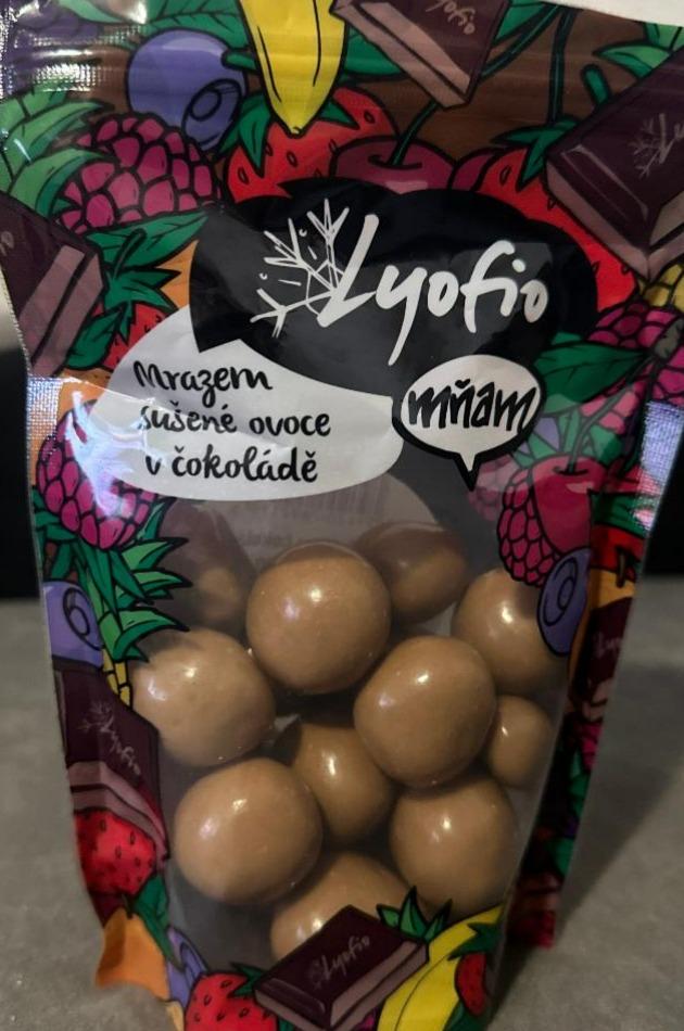 Fotografie - Lyofilizovaná jahoda v belgické čokoládě - karamel Lyofio