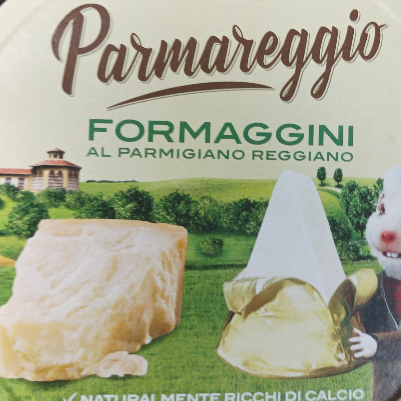 Fotografie - formaggini al Parmigiano Reggiano Parmareggio