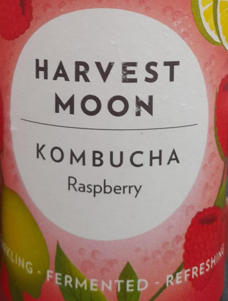 Fotografie - kombucha raspberry Harvest moon