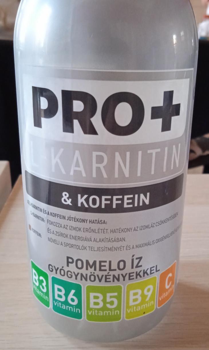 Fotografie - L-Karnitin & koffein Pomelo íz gyógynövényekkel Pro+