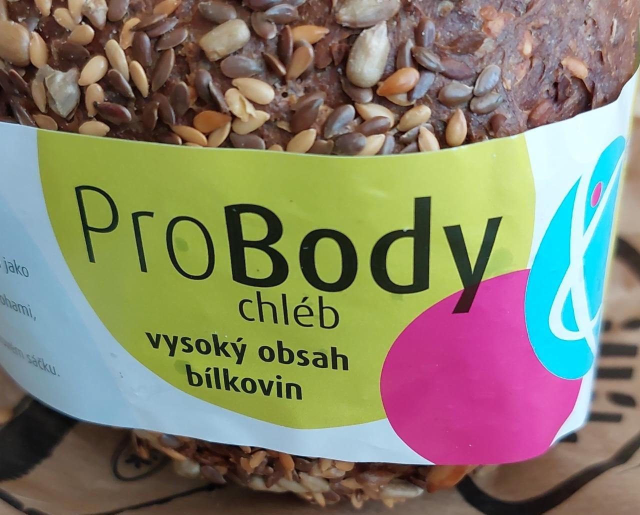 Fotografie - Pro Body chléb Illík