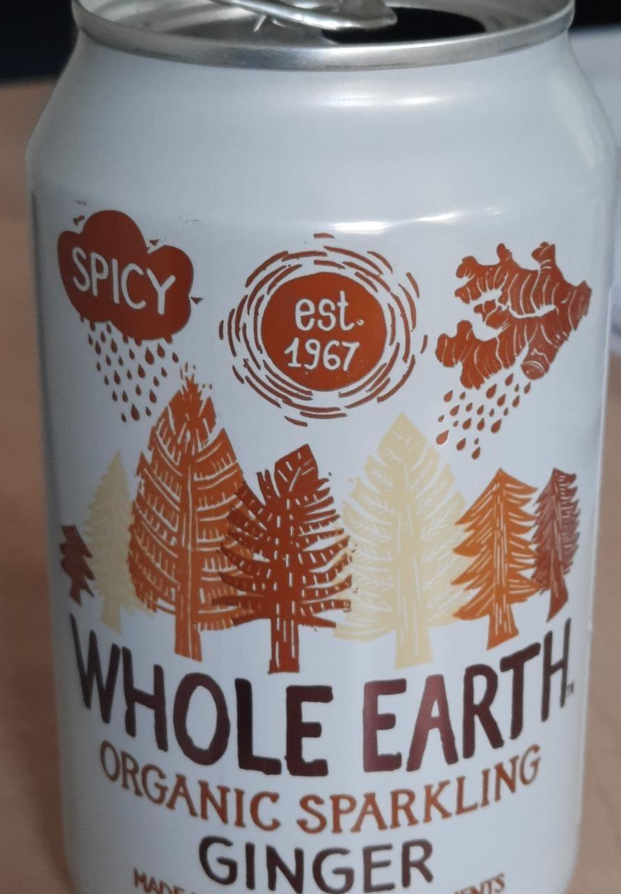 Fotografie - Organic Sparkling Ginger spicy Whole Earth