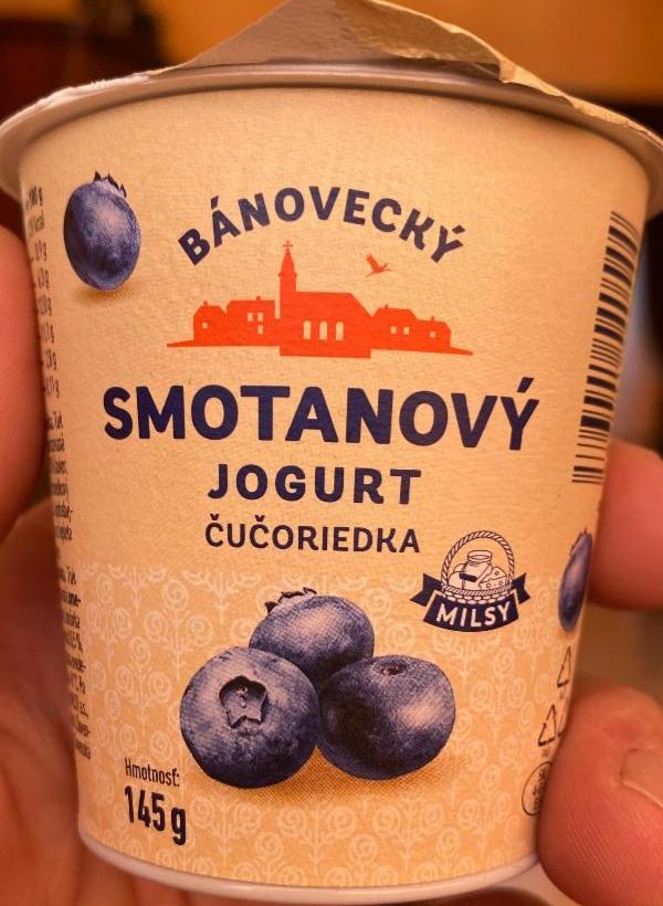 Fotografie - Bánovecký Smotanový jogurt čučoriedka