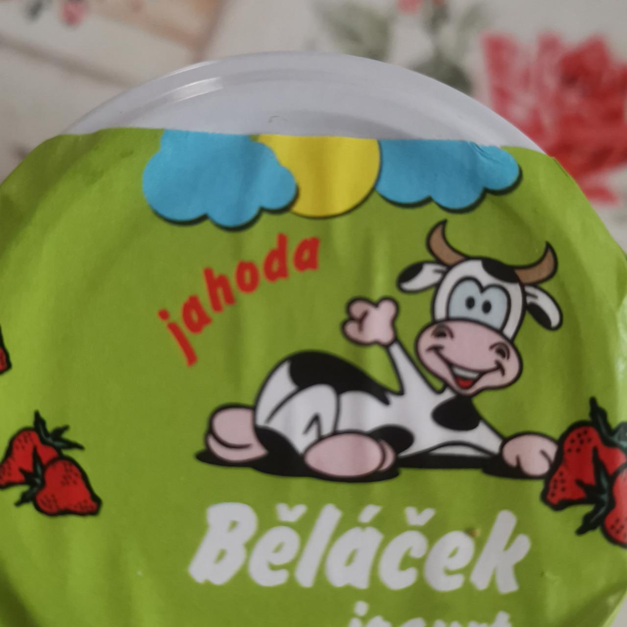 Fotografie - Běláček jahoda