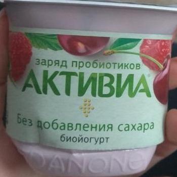 Fotografie - Activia jogurt borůvka Danone