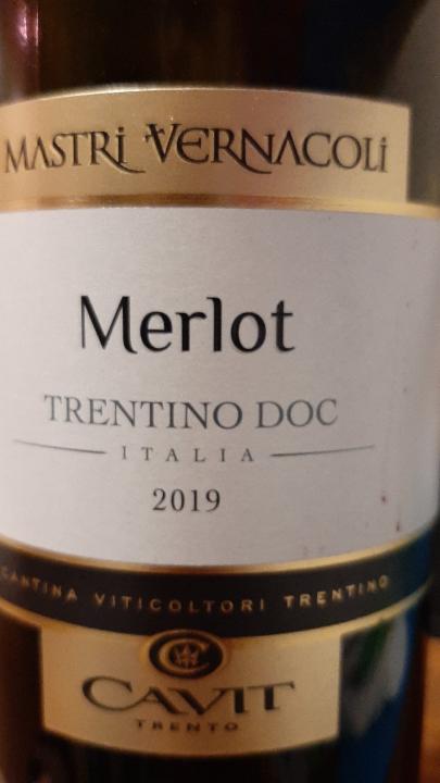 Fotografie - červené víno Merlot Trentino Doc Italia 2019