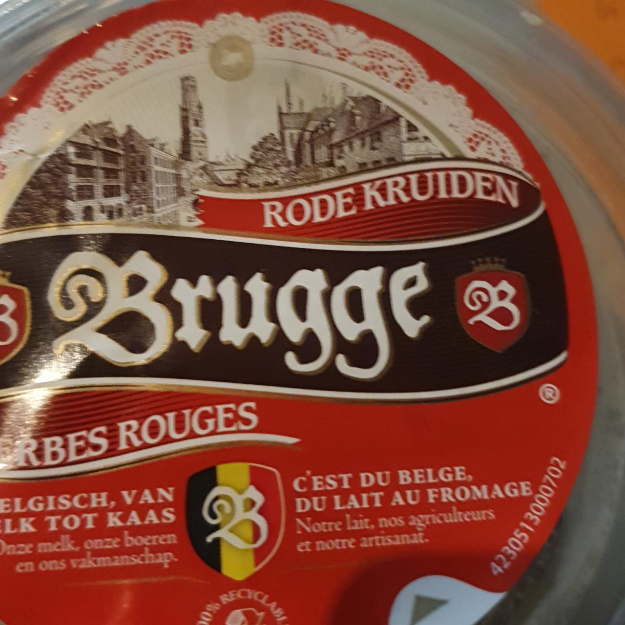 Fotografie - Rode Kruiden Brugge