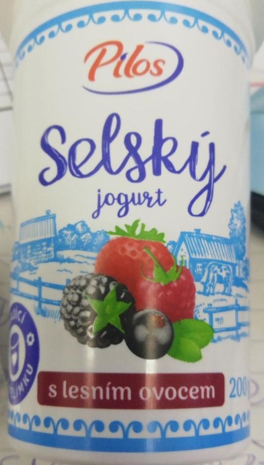 Fotografie - selský jogurt s lesním ovocem Pilos