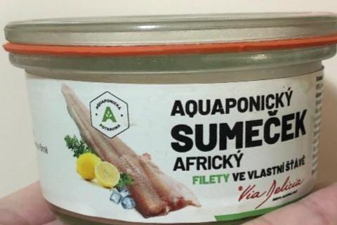 Fotografie - Aquaponický sumeček africký filety ve vlastní šťávě Via Delicia