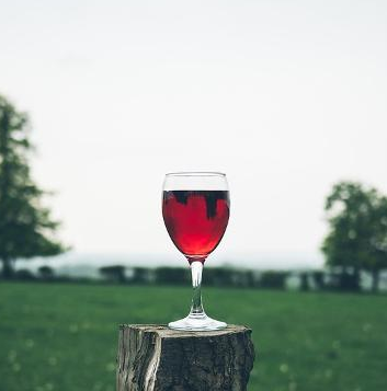 Fotografie - polosladké červené víno
