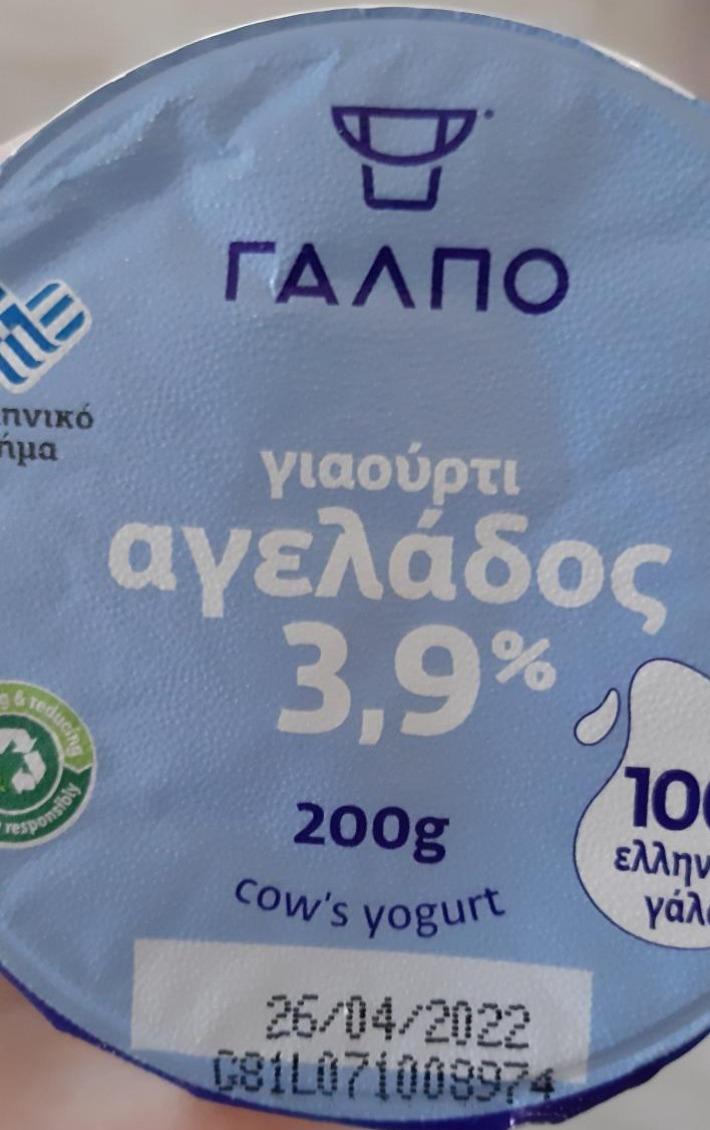 Fotografie - Cows yogurt 3,9% Galpo
