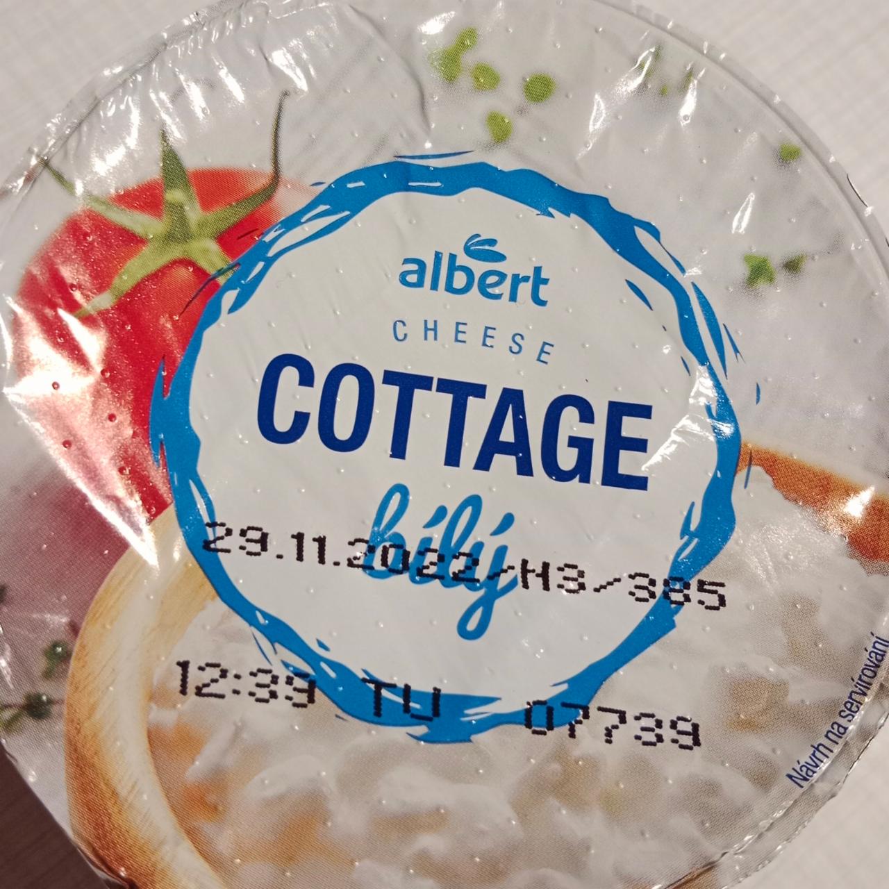 Fotografie - Cottage cheese bílý Albert