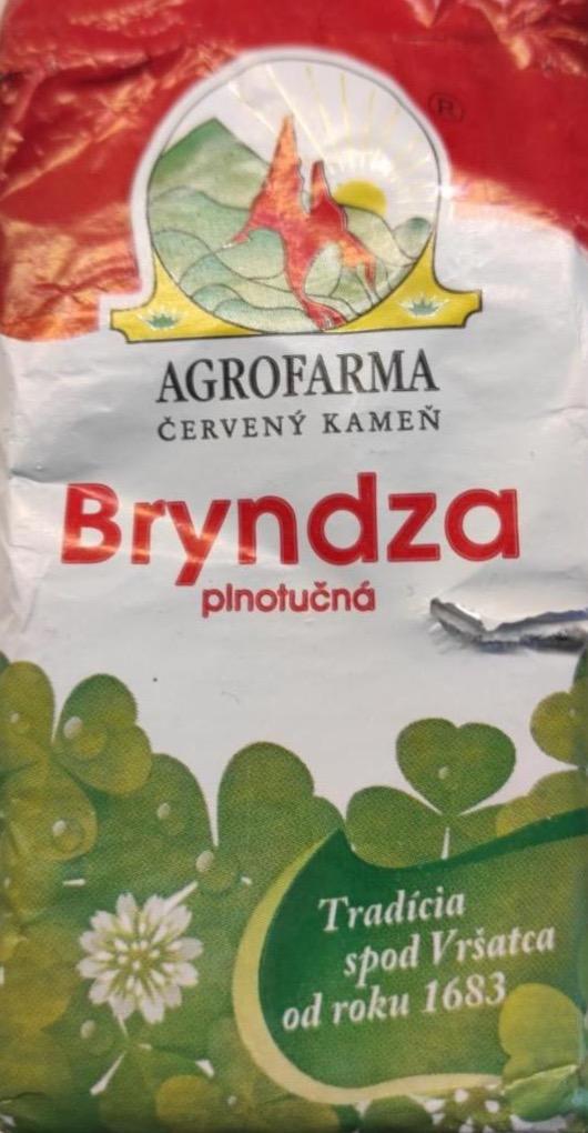 Fotografie - brynza plnotučná Agrofarma