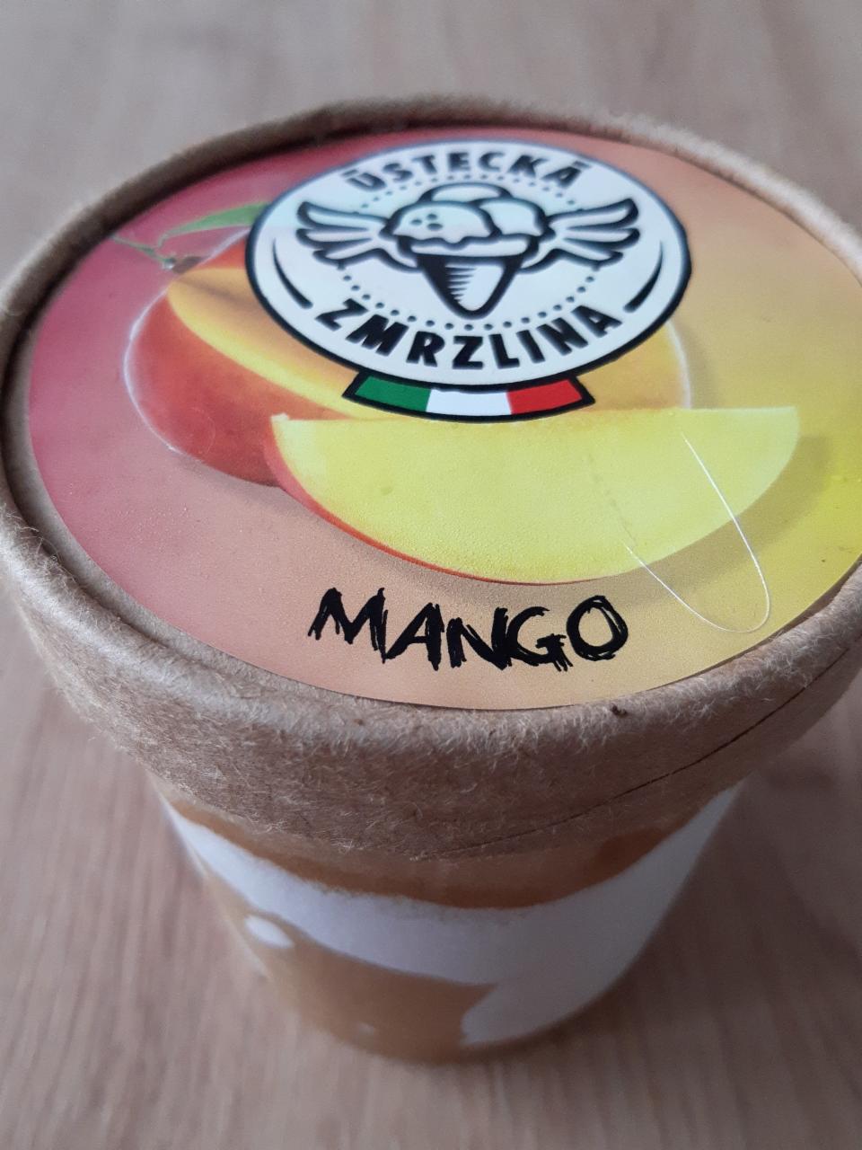 Fotografie - Ústecká zmrzlina Mango