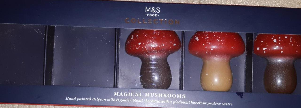 Fotografie - magical mushrooms M&S