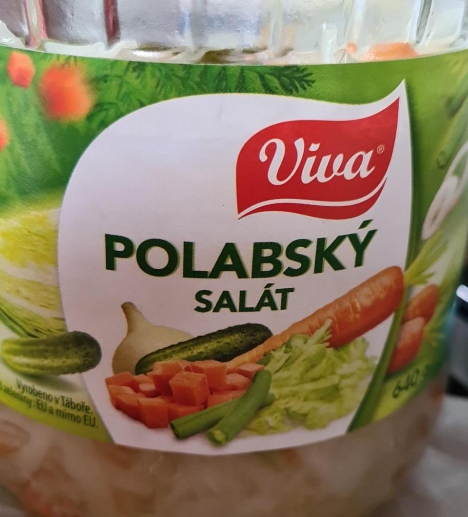 Fotografie - Polabský salát Viva