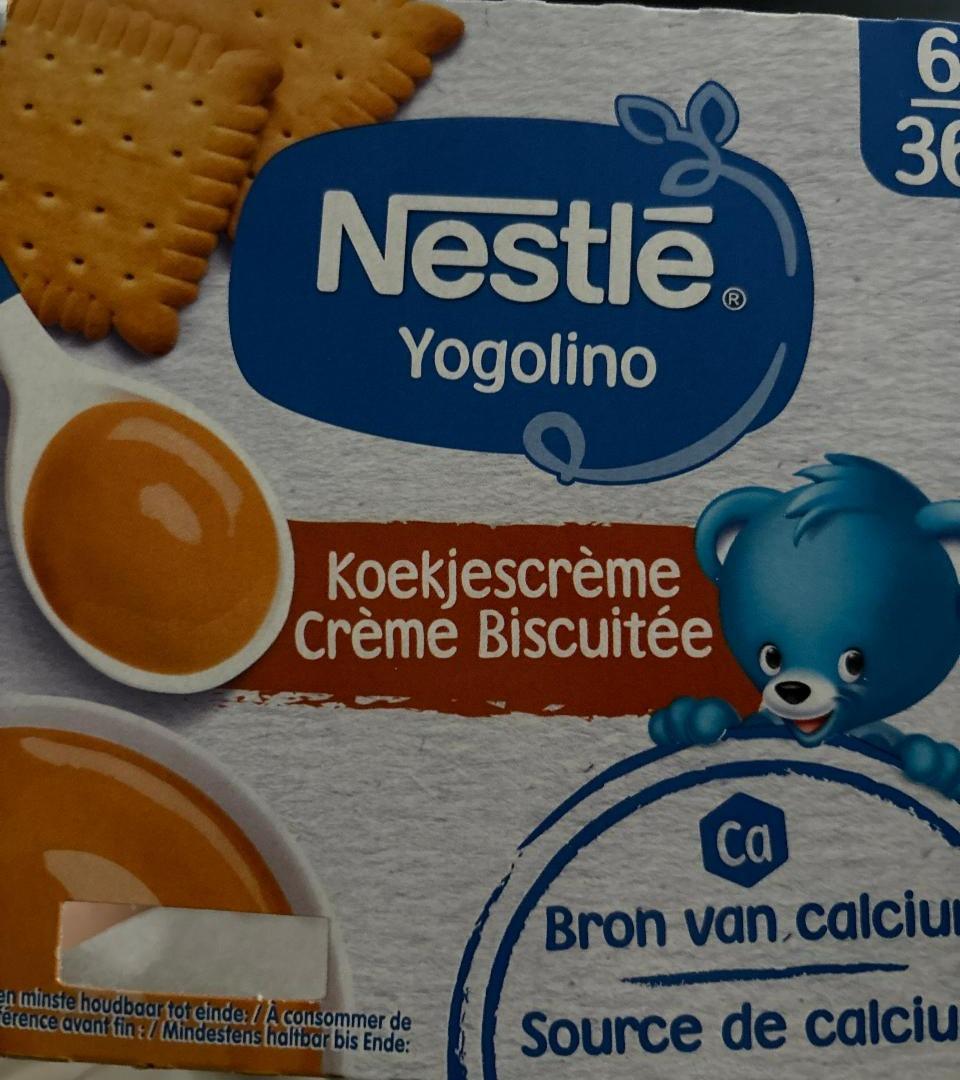 Fotografie - Yogolino Creme Biscuitée Nestlé