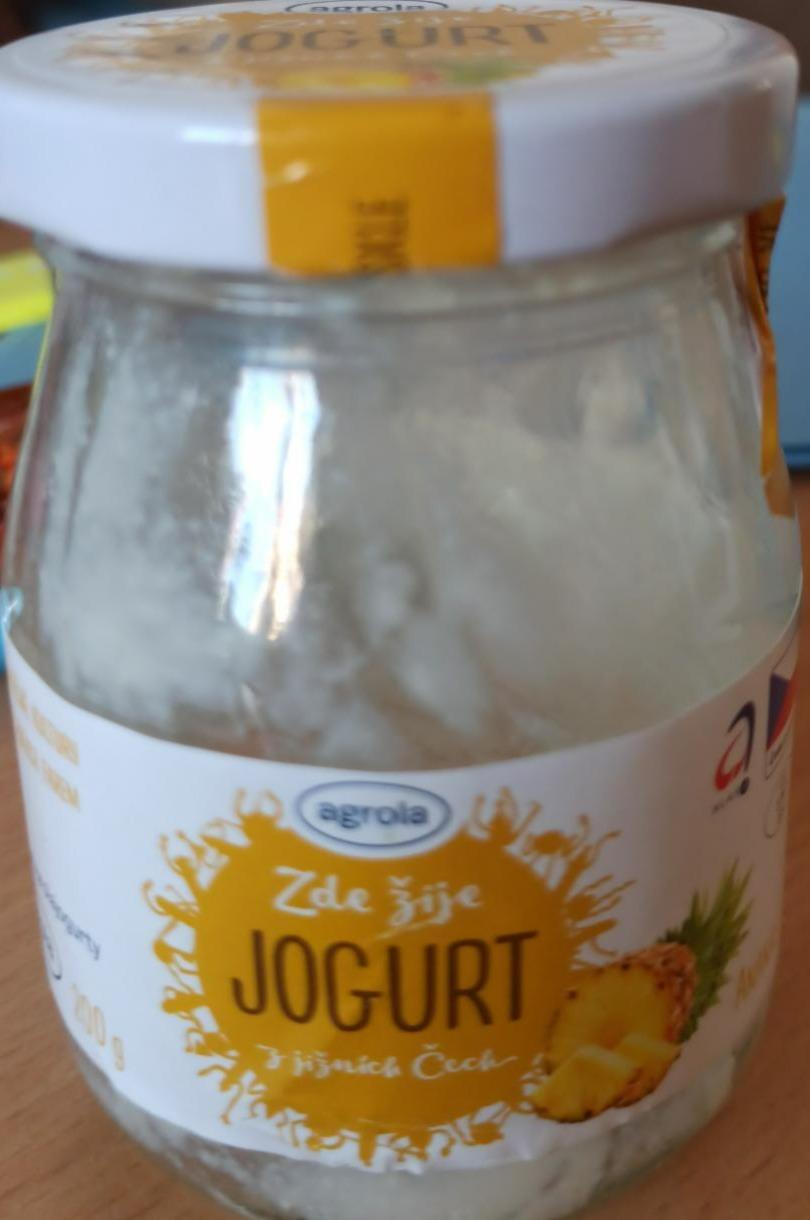 Fotografie - Jogurt z jižních Čech Ananas Agro-la