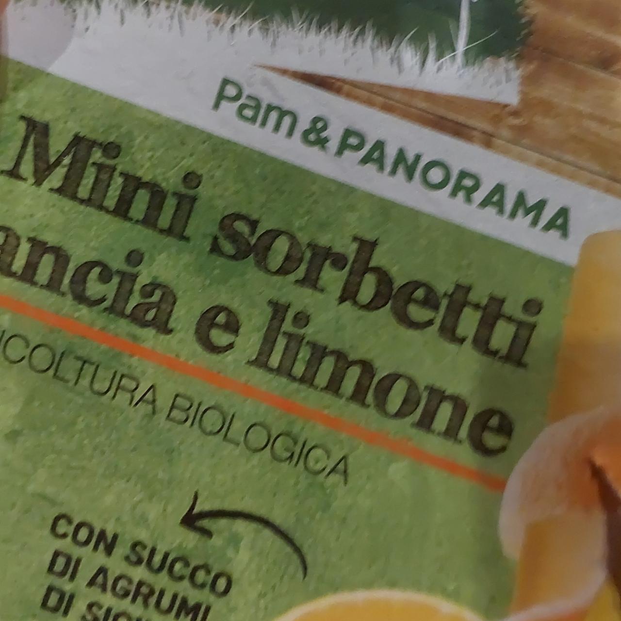 Fotografie - 8 Mini sorbetti arancia e limone Pam & Panorama