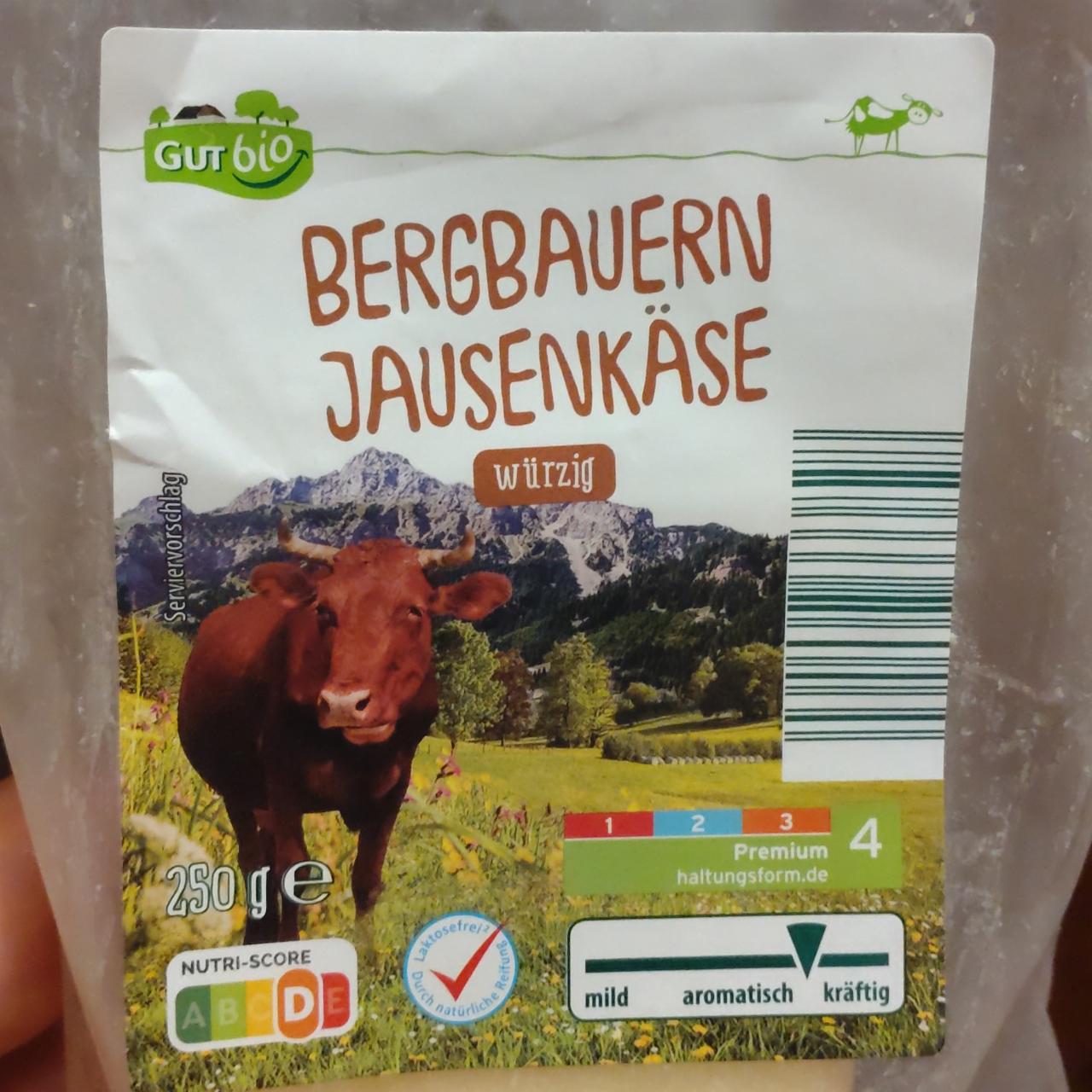 Fotografie - Bergbauern Jausenkäse würzig Gut Bio