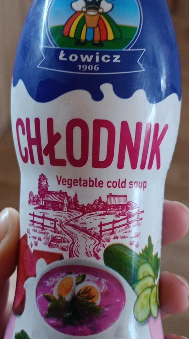 Fotografie - Chłodnik Vegetable cold soup Łowicz