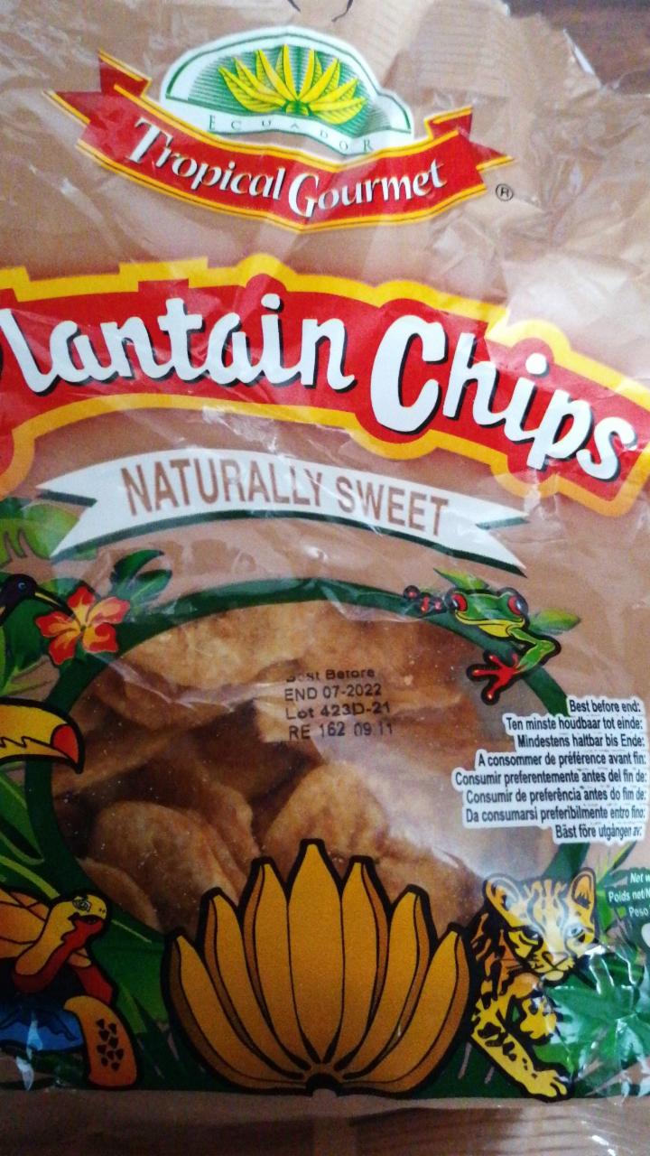 Fotografie - Plantain Chips Naturally Sweet Tropical Gourmet